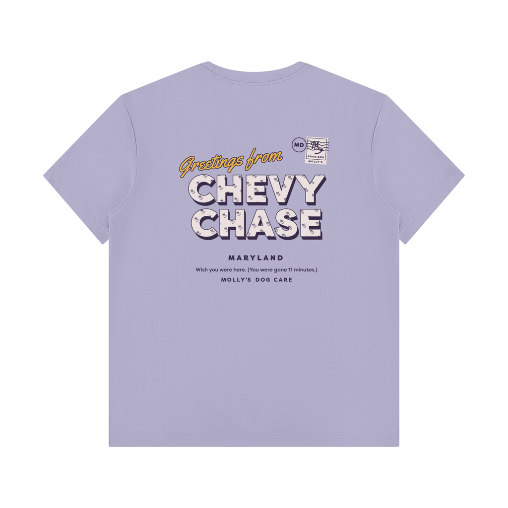 Greetings From Chevy Chase Tee in light lavender, back with the Greetings From Chevy Chase postcard print