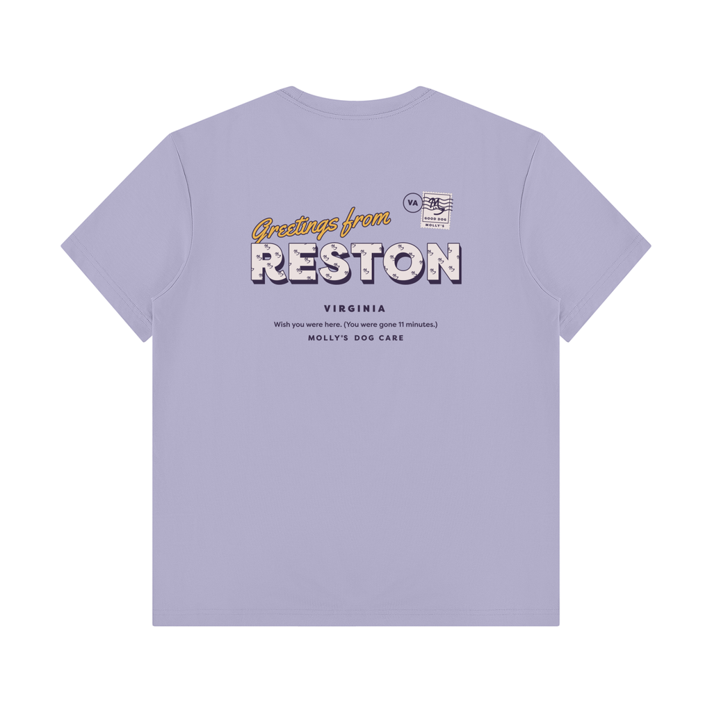 Greetings From Reston Tee in light lavender, back with the Greetings From Reston postcard print