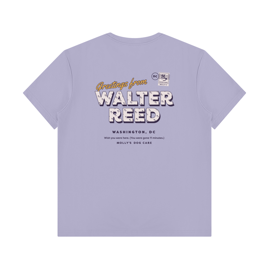 Greetings From Walter Reed Tee in light lavender, back with the Greetings From Walter Reed postcard print
