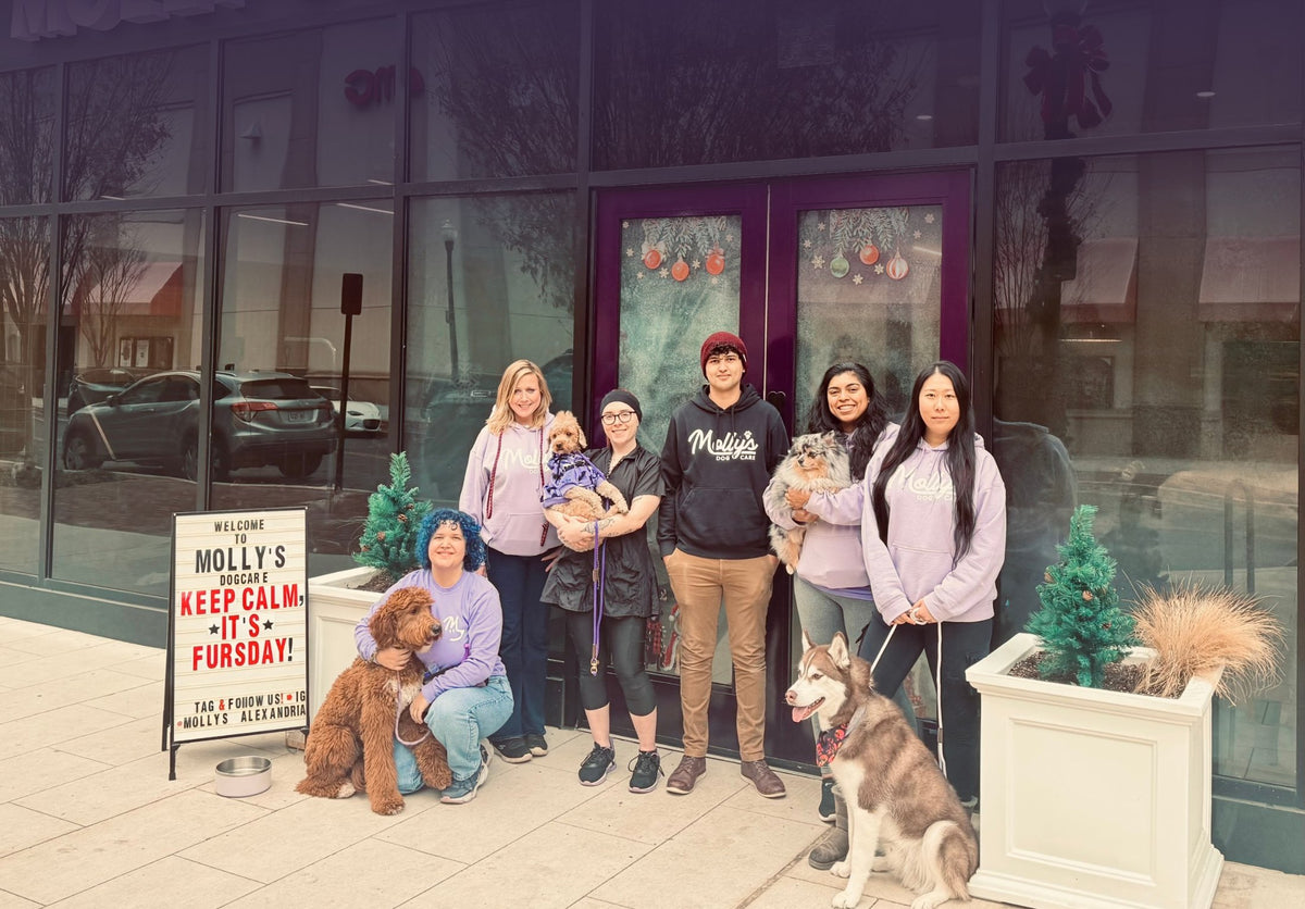 The Molly's Dog Care Alexandria team with dogs outside the storefront